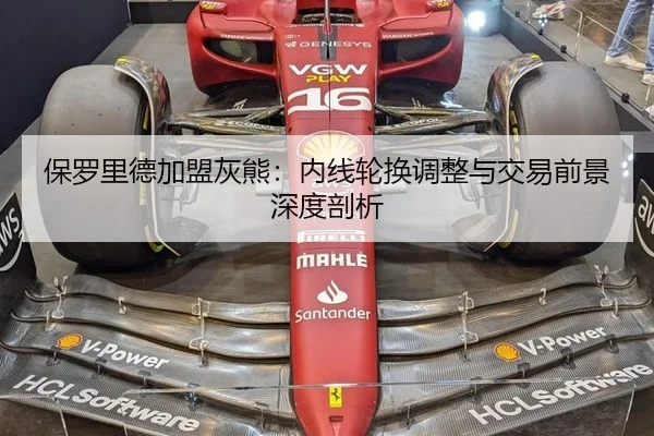 保罗里德加盟灰熊：内线轮换调整与交易前景深度剖析