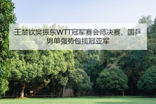 wang-chu-qin-fan-zhen-dong-guan-jun-sai-hui-shi-jue-sai-guo-ping-nan-dan-qiang-shi-bao-lan-guan-ya-jun-3-497.jpg