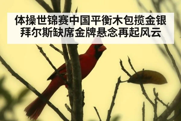体操世锦赛中国平衡木包揽金银拜尔斯缺席金牌悬念再起风云