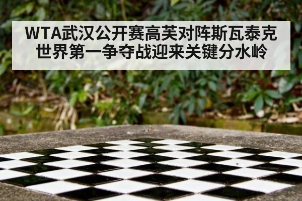WTA武汉公开赛高芙对阵斯瓦泰克 世界第一争夺战迎来关键分水岭